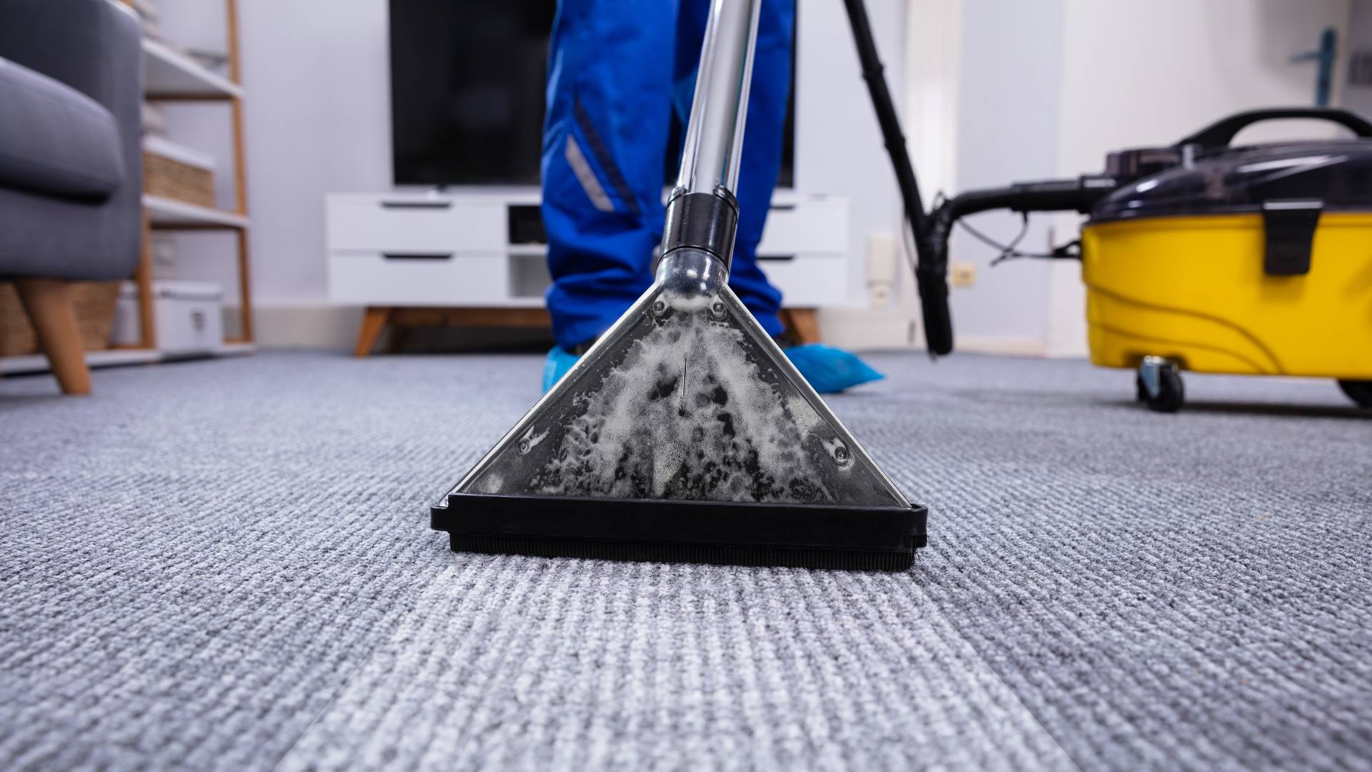 Schedule Your Commercial Carpet Cleaning Today